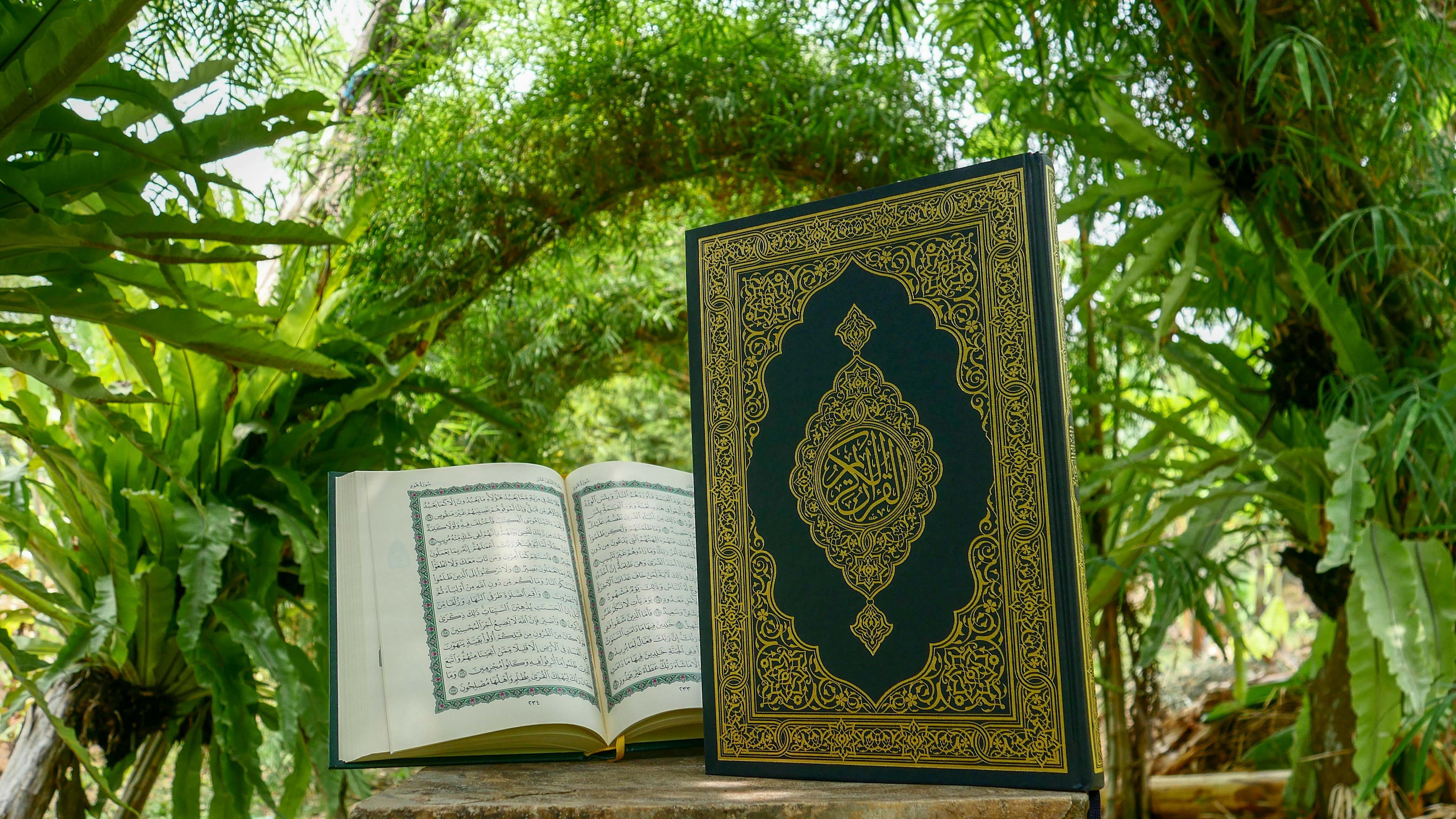 Tajweed for Adults
